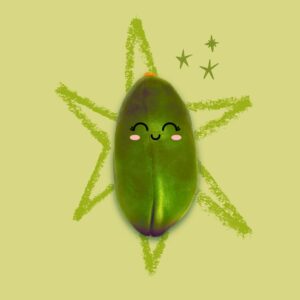 Ilustración de pistacho con cara sonriente sobre fondo verde con estrella, diseño creativo de Nazaria Pistachio.