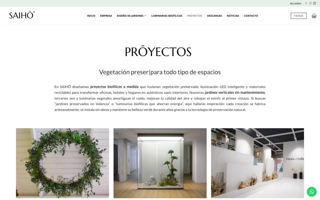 09-proyectos