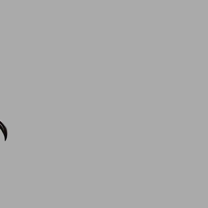 Diseño web de Metazoa con cabeza de pájaro animada